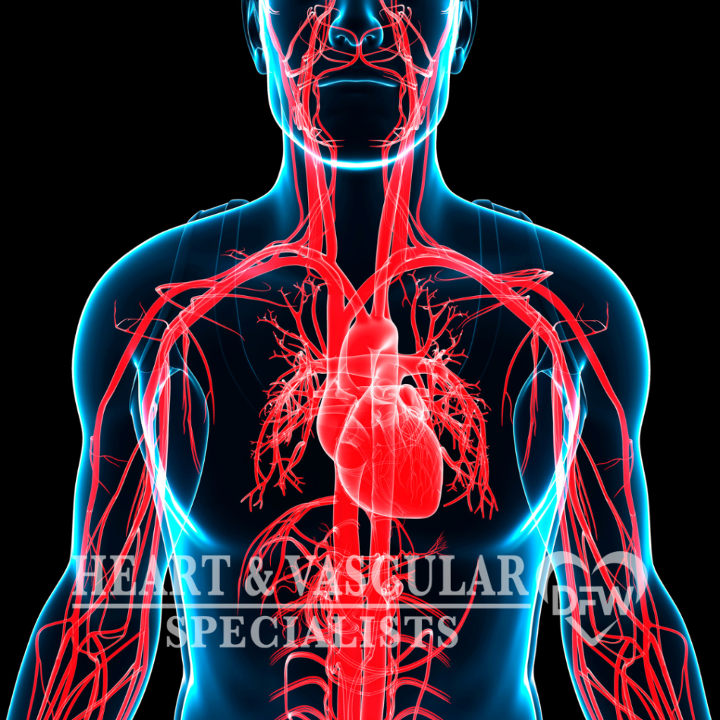 Peripheral Vascular & Circulation Disorders​